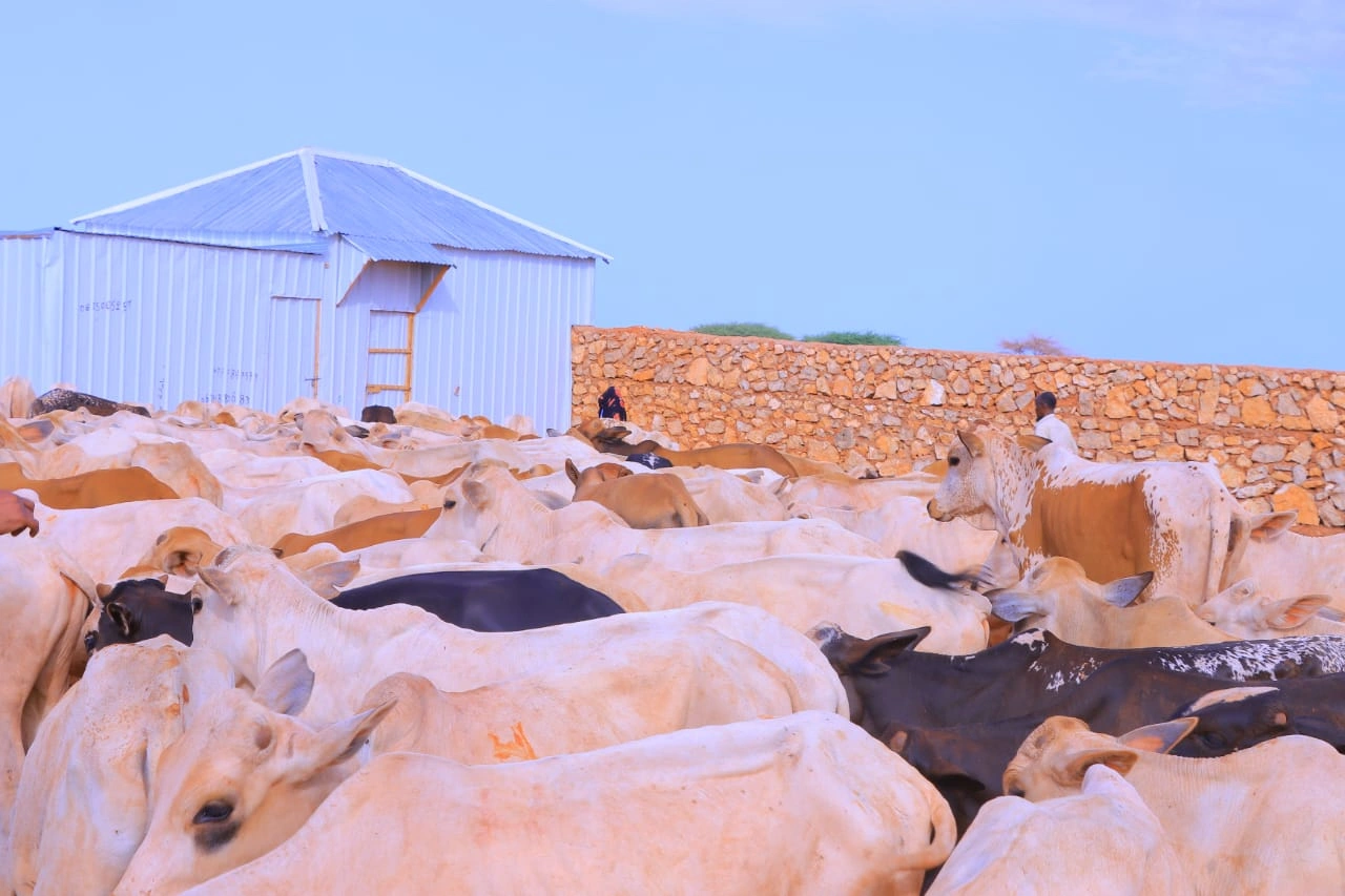 Qurban images Image 13